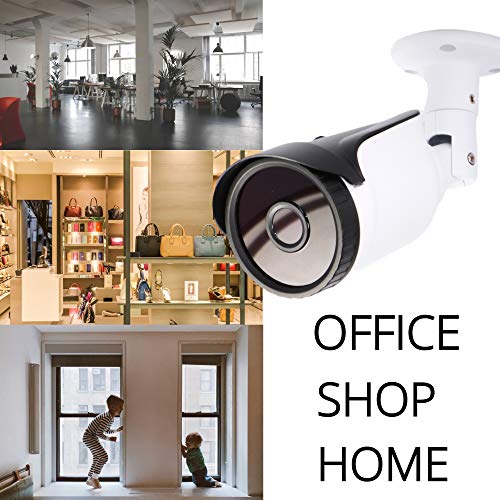 tiiwee Caméra de Sécurité Factice