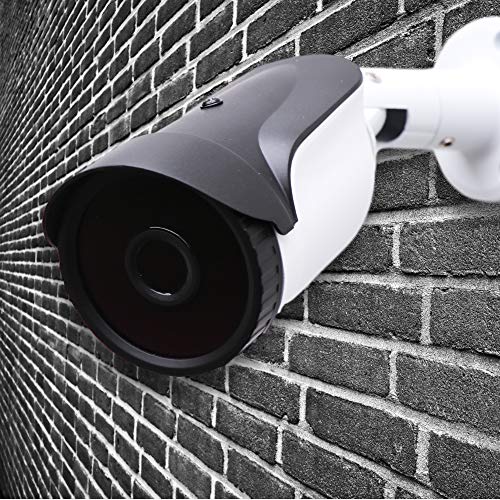 tiiwee Caméra de Sécurité Factice